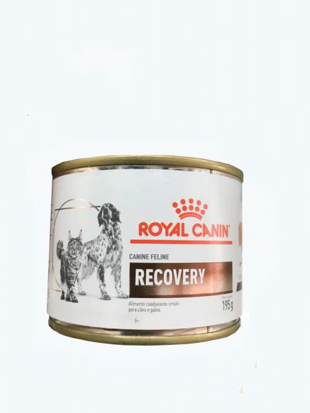 Ração Royal Canin Lata Canine e Feline Veterinary Diet Recovery Wet na ...